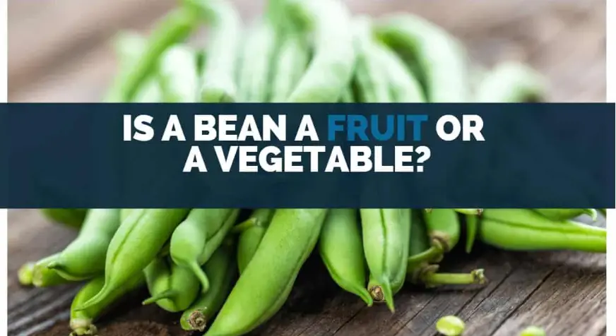 Is A Bean A Fruit or A Vegetable? Are Beans Fruits Or Vegetables