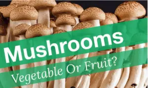Are mushrooms vegetables