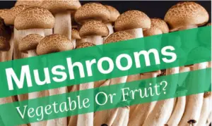 Are Mushrooms Vegetables