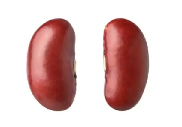 Kidney Bean