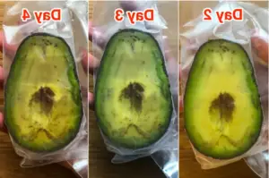 Fully Ripened And Freeze The Avocado Refrigerate the avocadoes