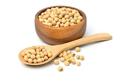 Soya Bean