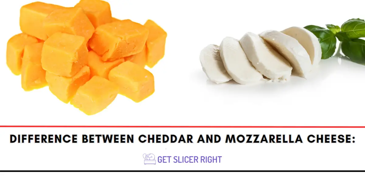 Difference Between Cheddar And Mozzarella Cheese