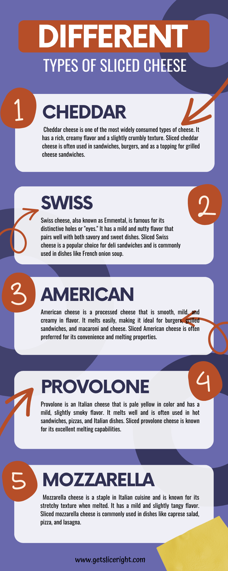 Different Types Of Sliced Cheese - Infographics