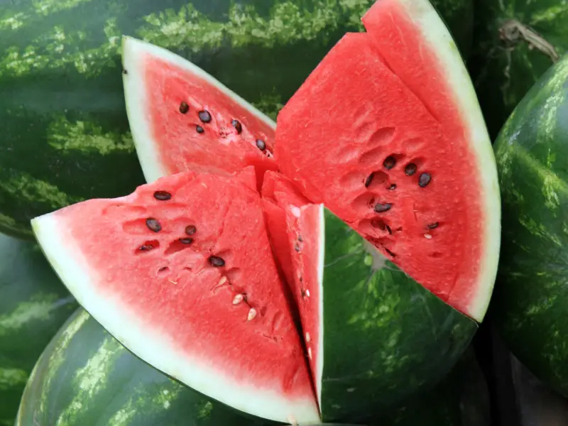 How To Pick A Good Watermelon