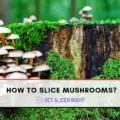 Slice Mushrooms