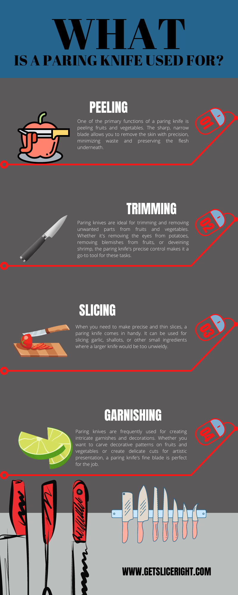 What is a paring knife used for - infographics