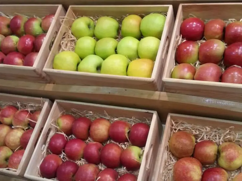 Best Apples For Freezing Which apples are best to freeze