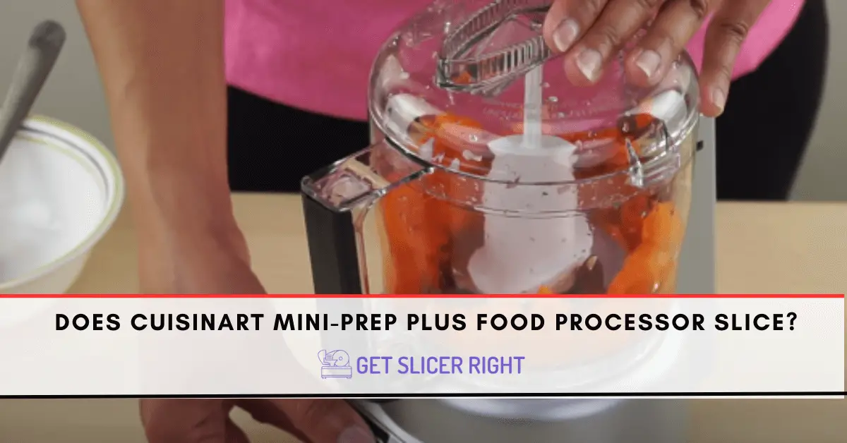 Cuisinart mini prep plus food processor