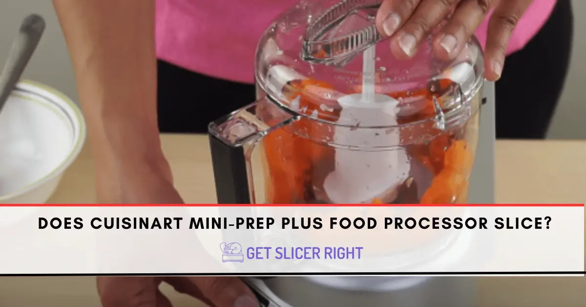 Cuisinart Mini Prep Plus Food Processor