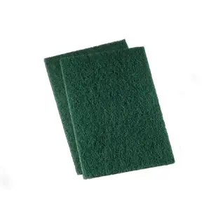 Green scrubby pad