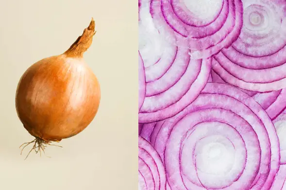 How long are sliced onions good for