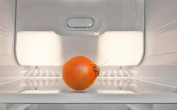 How to Store Onions So They Last Longer How Long Does Sliced Onion Last In The Fridge