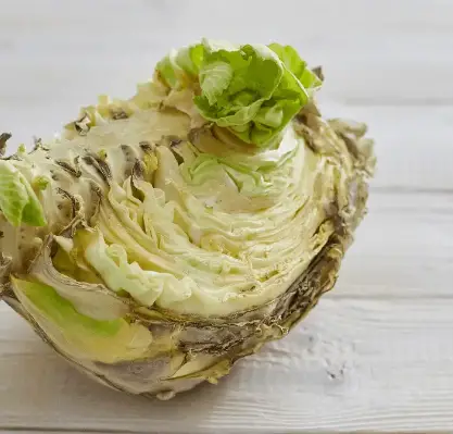How to keep cut cabbage from going brown