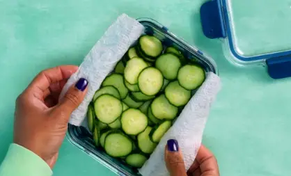 Place the dried slices in an airtight container Place the dried slices in an airtight container or a Ziploc bag