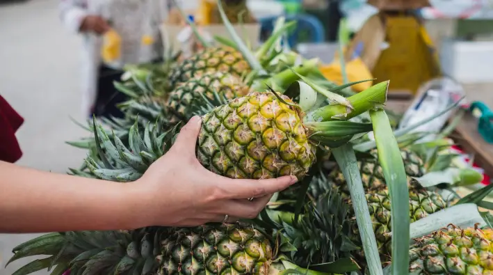 Selecting the perfect pineapple