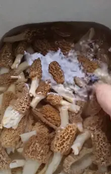 Soak the mushrooms in cold water