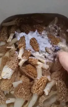 Soak the mushrooms in cold water Soak the mushrooms in cold water