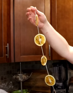 Thread a piece of string through each slice