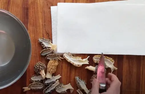Use a paring knife to cut off Use a paring knife to cut off