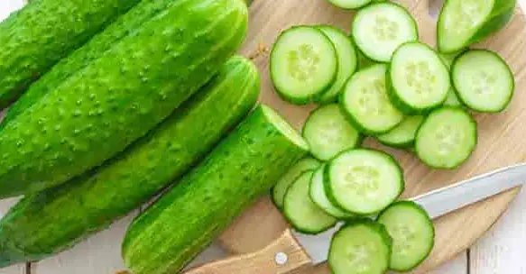 Cucumber is a fruit that belongs to the Cucurbitaceae family What Is Cucumber