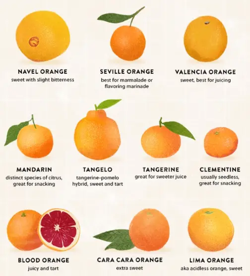 What kind of oranges should i dry