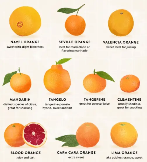 What Kind Of Oranges Should I Dry