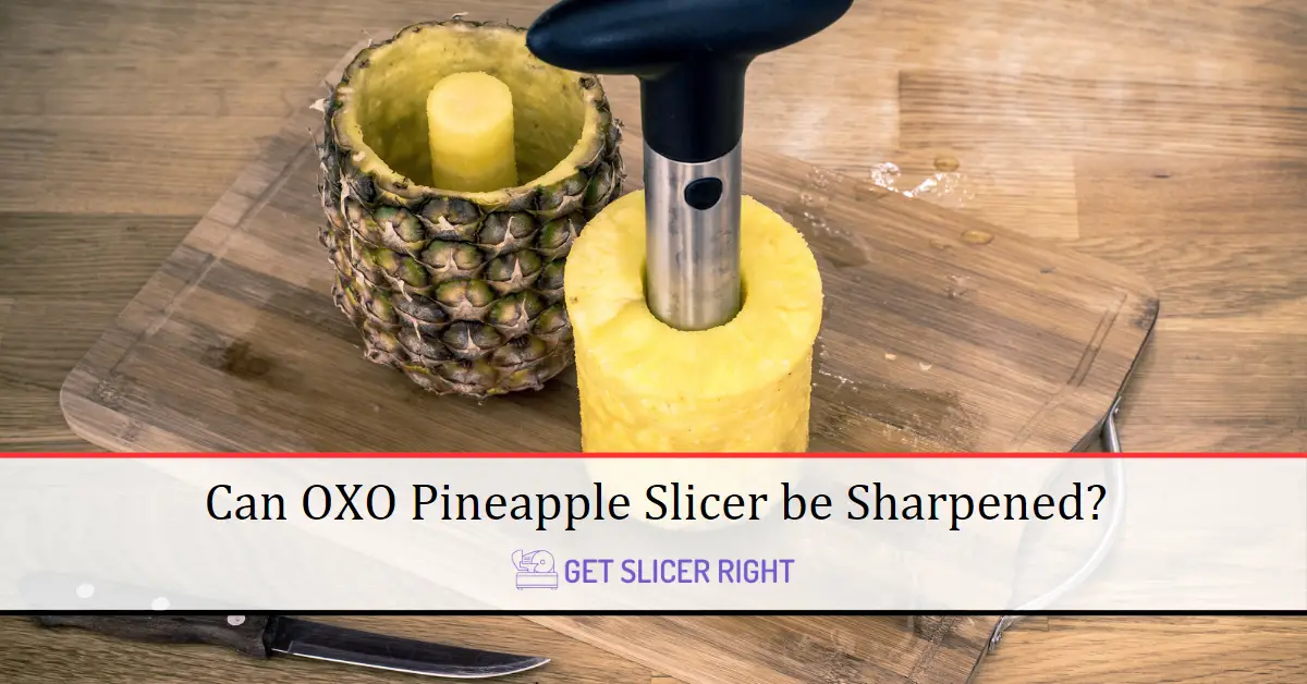 Can OXO Pineapple Slicer be Sharpened