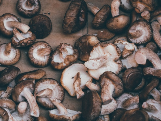 Signs that mushrooms have gone bad