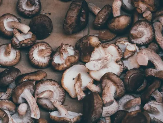 How To Tell If Mushrooms Are Bad Signs that mushrooms have gone bad