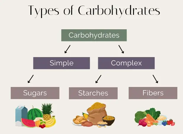 Types Of Carbohydrates