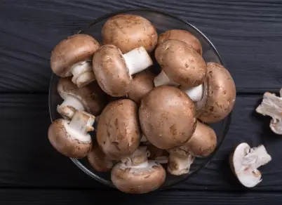 What Are Mushrooms