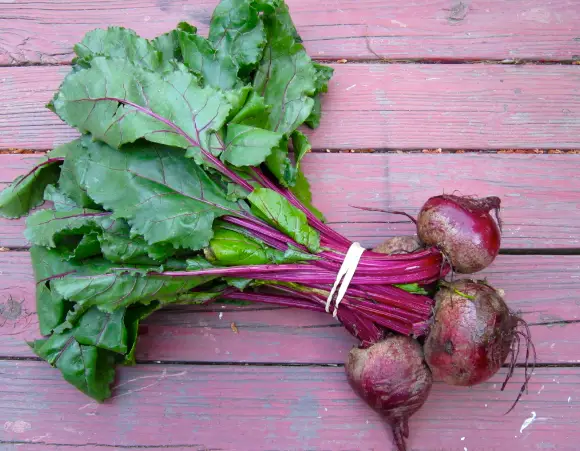 Health Benefits of Beet Greens Are tops of beets edible