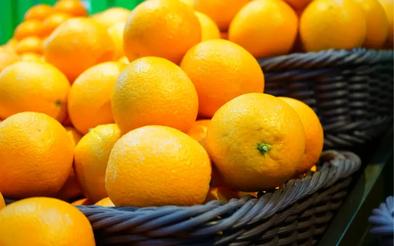 Storing Oranges: Keep Them Fresh and Flavorful