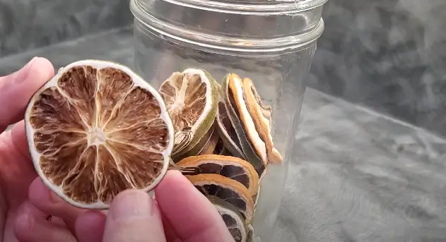 How To Dehydrate Oranges