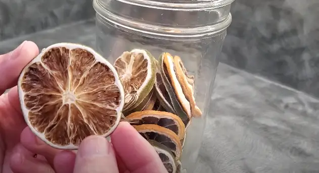 How to Dehydrate Orange Slices How To Dehydrate Oranges
