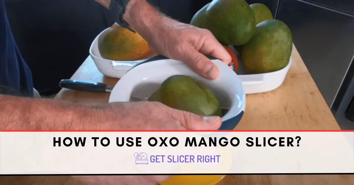 OXO Good Grips Mango Splitter