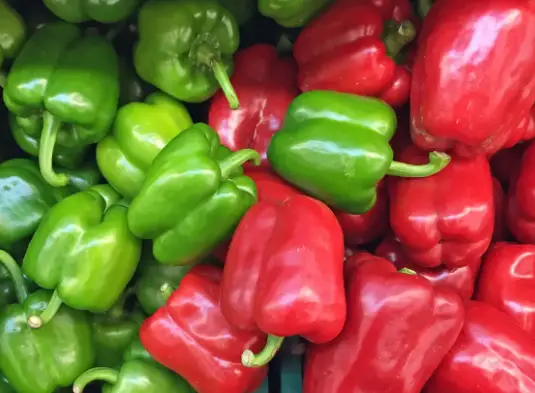 How do green and red bell peppers differ