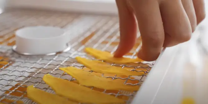 Once fully dehydrated remove slices Once fully dehydrated