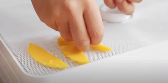 Prepare the dehydrator trays and place the mango slices on them Prepare the dehydrator trays