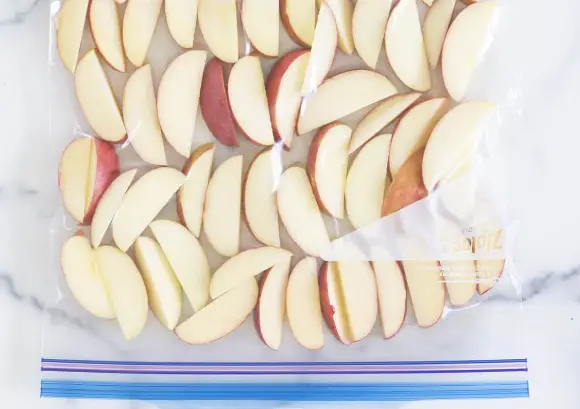 Store The Apple Slices In An Airtight Container Store the apple slices in an airtight container