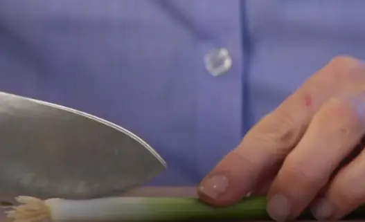 Use A Knife To Carefully Cut Off The Root End Of The Green Onion. Use a knife to carefully cut off