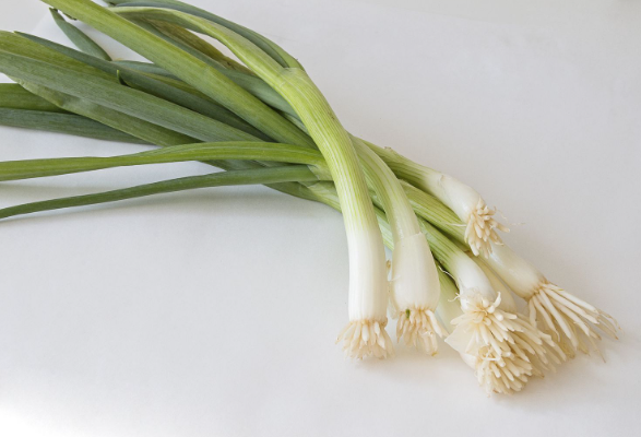 What is a scallion