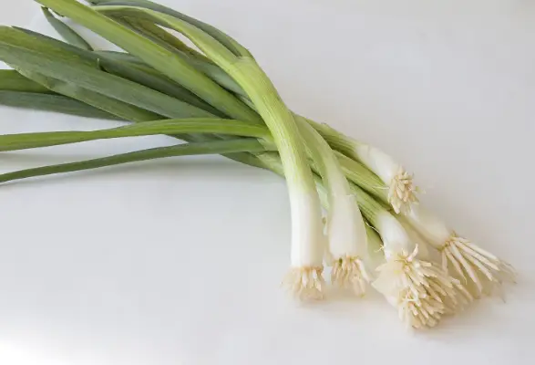Scallions Vs Green Onions - What's The Difference What is a scallion