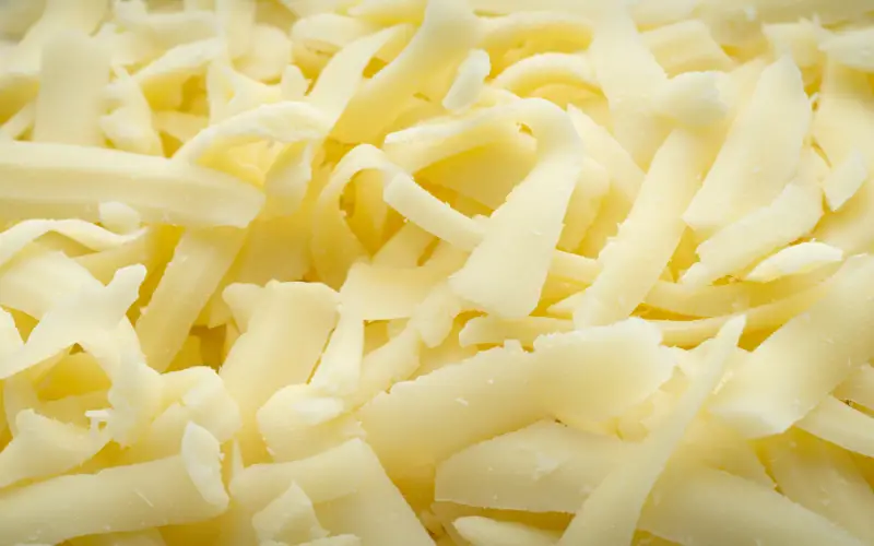 Homemade Mozzarella Cheese Mozzarella