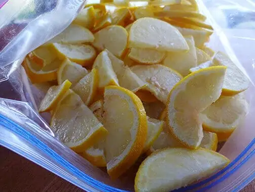 Freezing Lemon Slices An Efficient Method of Preservation