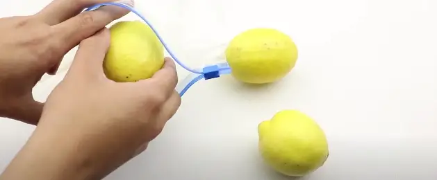 Can You Freeze Lemons How To Freeze A Whole Lemon