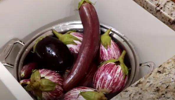 Wash your eggplant thoroughly and peel it Wash your eggplant
